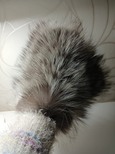 Pelz handschuh wellness pur - pelz,