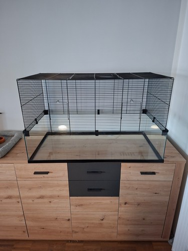 Hamster nagarium - hamster,