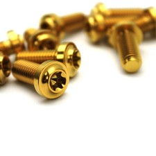 10 Titan Bremsscheibenschrauben für Ducati Panigale Monster XDiavel Diavel uvm.