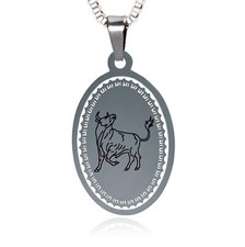 Sternzeichen Kette Edelstahl