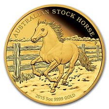 Australian Stock Horse, 2015