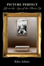 Picture Perfect Life in the