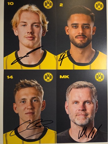 Bvb borussia dortmund - bvb,