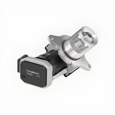 BorgWarner (Wahler) AGR Ventil