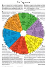 Die Organuhr Michael Gienger