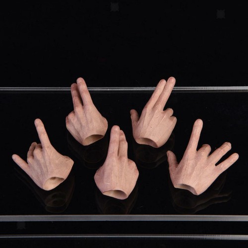 Hands model for did dml - 1/6,