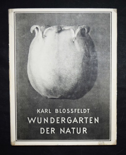 Karl blossfeldt wundergarten - karl,