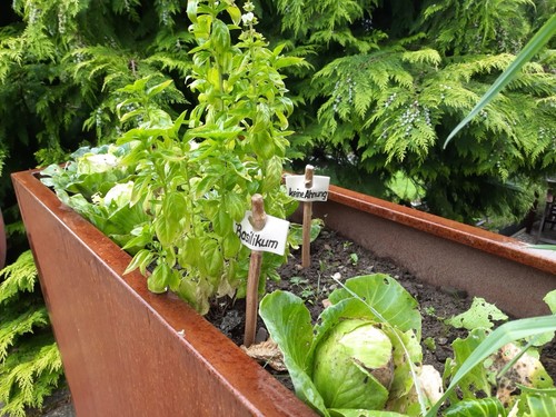 Hochbeet cortenstahl stahl - hochbeet,