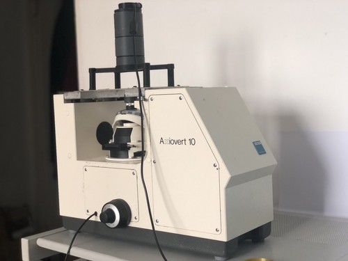 Zeiss axiovert mikroskop mit - axiovert,