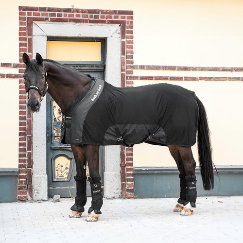 Back track royal - back,