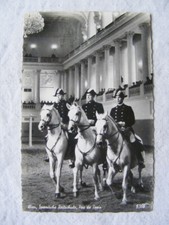 Postkarte Ansichtskarte Tiere alt aus Sammlung kleinformat Pferd Wien Reitschule