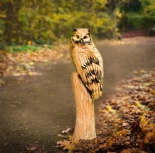 Eule Aus Holz Garten Haus Deko