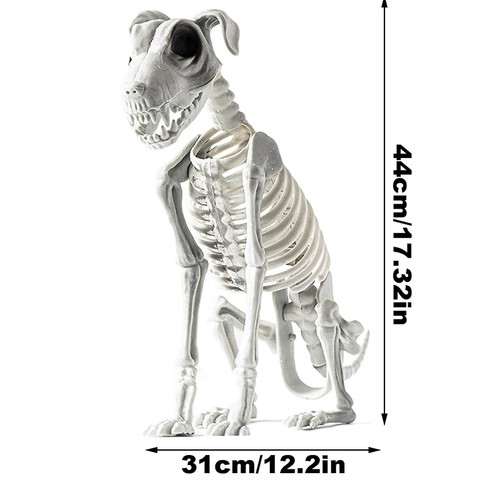 Halloween hundeskelett - halloween,