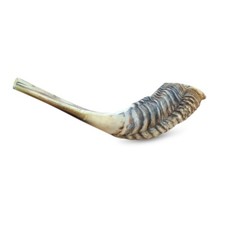 Ram horn shofar synagoge - ram, gebet