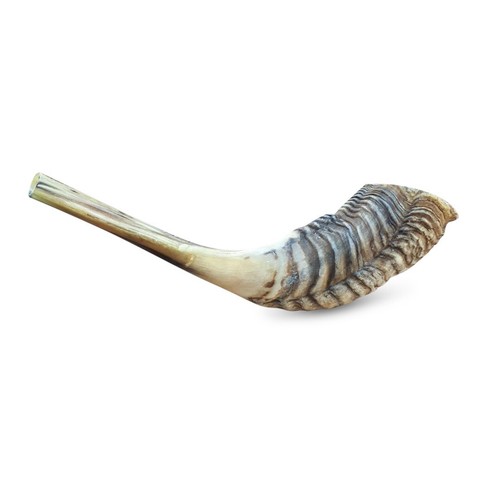 Ram horn shofar - shofar, gebet