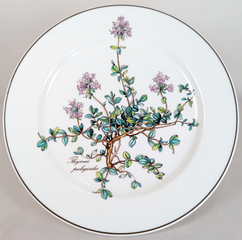 Villeroy boch botanica - boch,