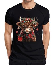 Schottische Hochlandkuh