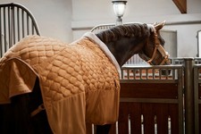 Eskadron Stalldecke ZETA