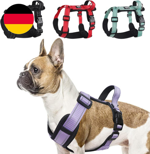 Hundegeschirr lila - lila,