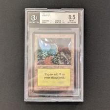 MTG \>> Forest (V.1) (BGS 8.5)
