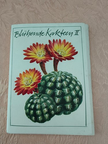 Kakteen postkartensammlung - pk,