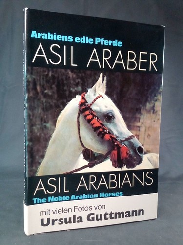 Arabiens edle pferde asil - arabiens,