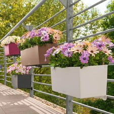 Lechuza 'Balconera Color 50'