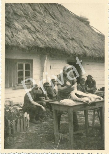 Foto hausschlachtung - foto, ii
