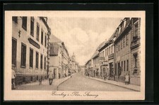 Eisenberg /Th., Steinweg mit Ladenfronten und Passanten, Ansichtskarte 