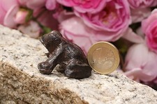 3 x kleiner Frosch aus