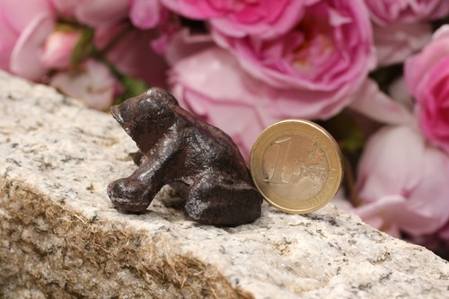 Kleiner frosch aus - kleiner,