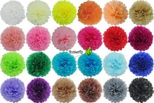 10 Papier PomPons Bommel SET