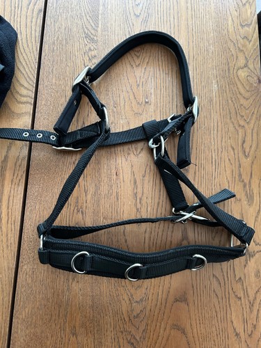 Gebrauchtes showmaster - gebrauchtes,
