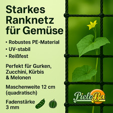 Starkes Ranknetz für Gemüse