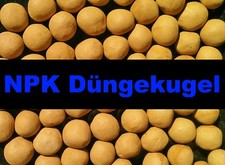 100g 50 - [11,99€/100g],