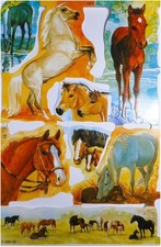 Glanzbilder Pferd Pferde weiß schwarz braun reiten Posiebilder Deko Mamelok 158