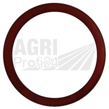 Dichtring Achsschenkel für