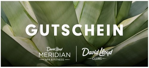 Meridian david lloyd - david,