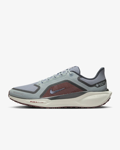 Nike pegasus gore tex - nike, gore-tex