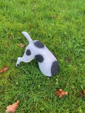 Hund Grabend Buddelnder halber