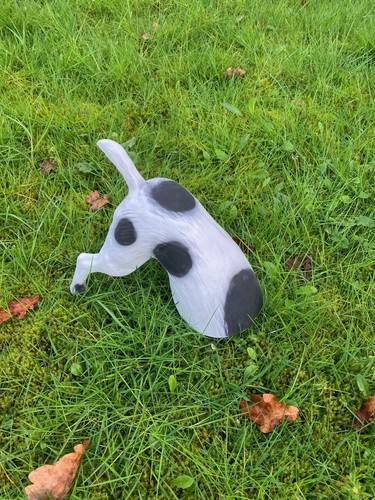 Hund grabend buddelnder halber - buddelnder,