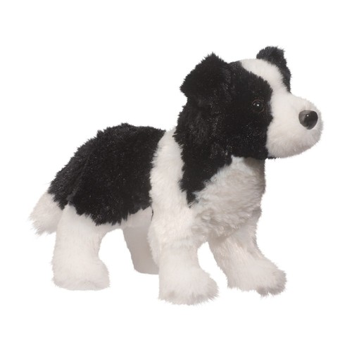 Border collie meadow - collie,