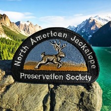 North American Jackalope