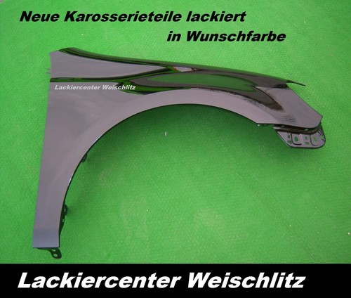 Kotflügel lackiert - kotflÜgel,