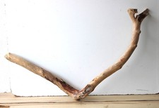 Treibholz Schwemmholz