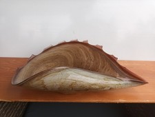 Muschelschale Retro-Stil, 40 X22 Cm Sandfarben, Schale Dekoration