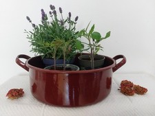 Alter runder Bräter