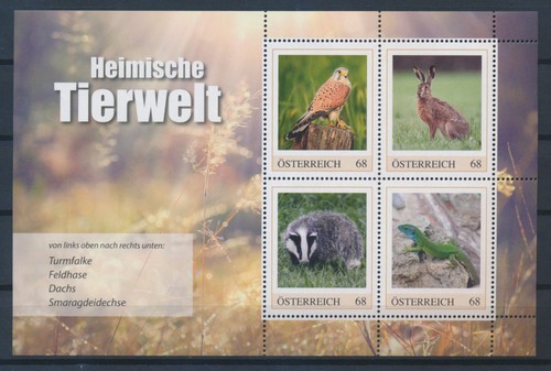 österreich turmfalke - Österreich,