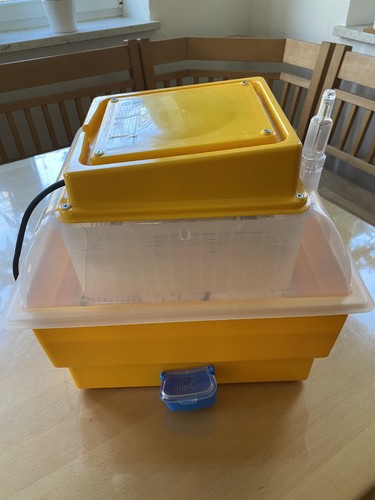 Halbautomatischer brutapparat - halbautomatischer,