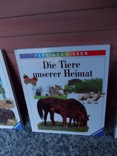 Farbiges wissen die tiere - wissen:,